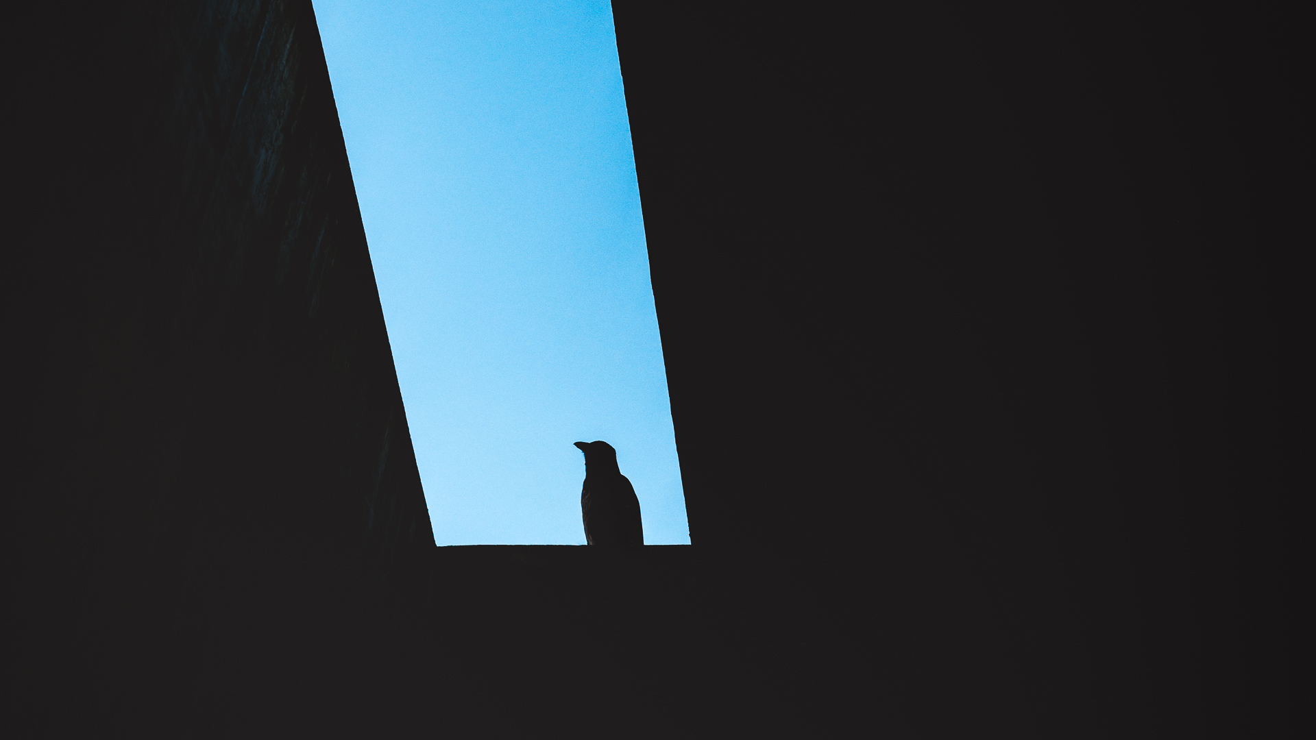 Architecture Photo 6