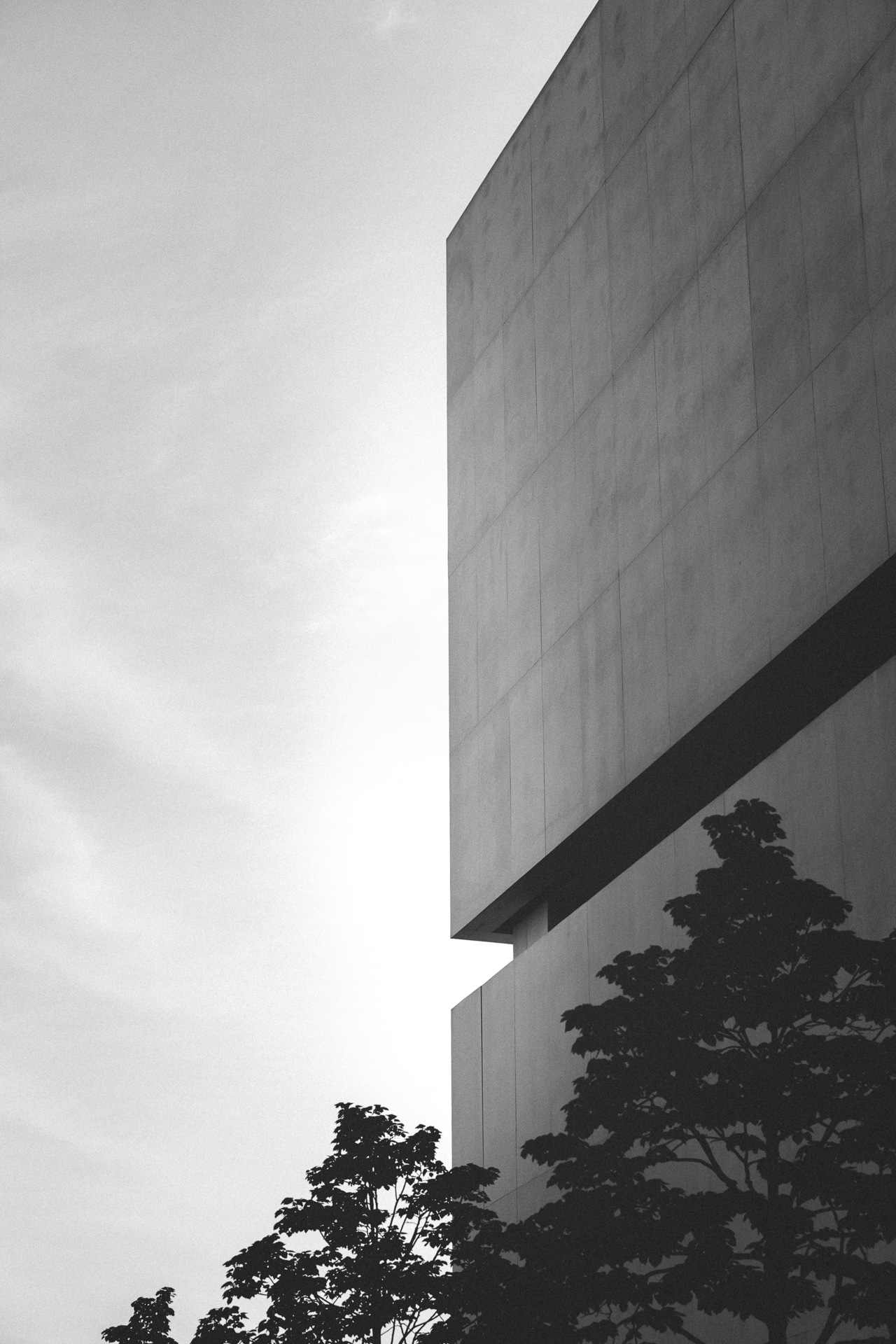 Modern Architecture 6