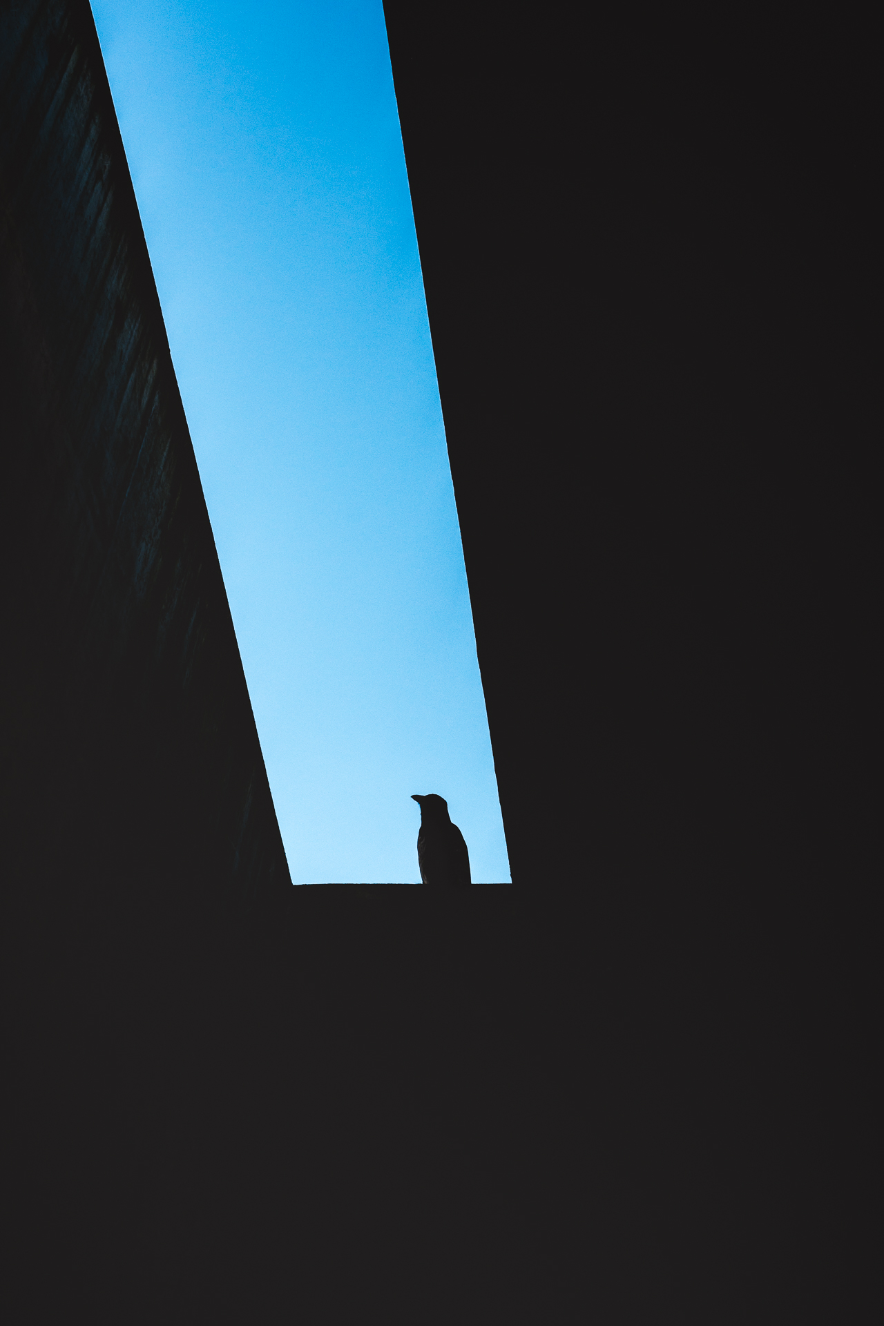 Modern Architecture 9